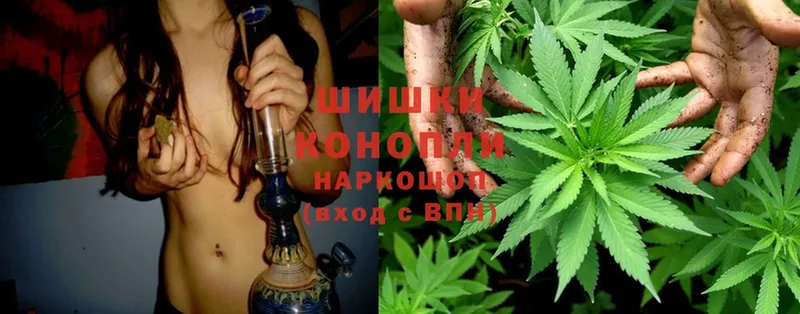 Канабис OG Kush  купить наркоту  Оленегорск 